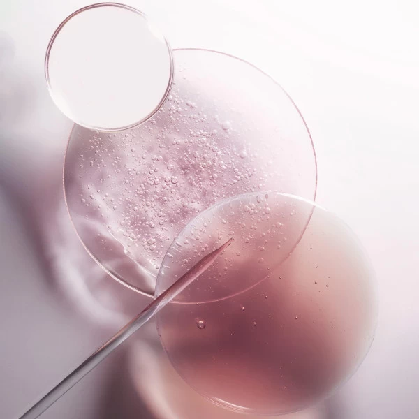 Pack Bouteille Et Recharge Bain Riche Cheveux Normaux à épais Chroma Absolu Kérastase 500ML 9 Pack Bouteille Et Recharge Bain Riche Cheveux Normaux à épais Chroma Absolu Kérastase 500ML – Image 7